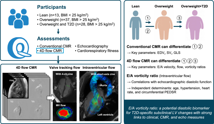Graphical abstract of Park et al.: three participant groups, comprehensive CMR assessments, and E/A vorticity as a potential diastolic biomarker.