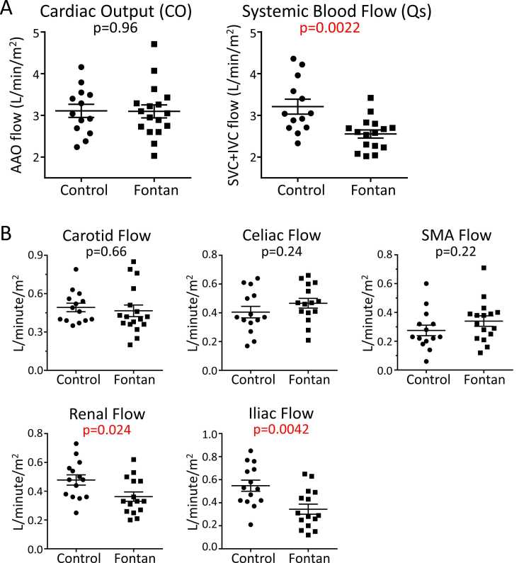 Global and regional body-surface-area-indexed flow comparisons between Fontan participants and biventricular controls